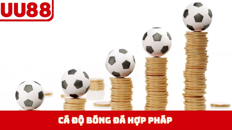 Cá Độ Bóng Đá Hợp Pháp