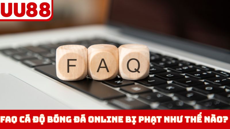 FAQ về cá độ bóng đá online bị phạt như thế nào?